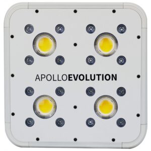 LED APOLLO EVOLUTION 4 127W-DELIGHT