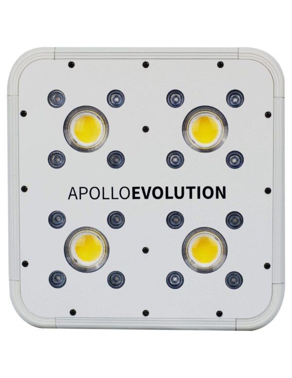 LED APOLLO EVOLUTION 4 127W-DELIGHT