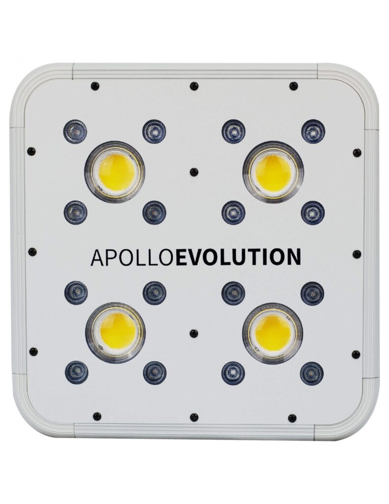 LED APOLLO EVOLUTION 4 127W-DELIGHT