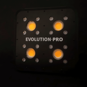 LED APOLLO EVOLUTION PRO 4 150W-DELIGHT