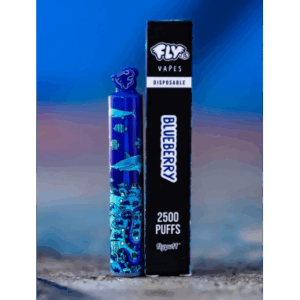 VAPORIZADOR BLUEBERRY 2500 PUFFS
